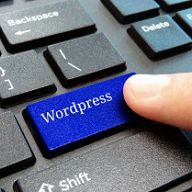 Wordpress - KI-plugin-moduler.