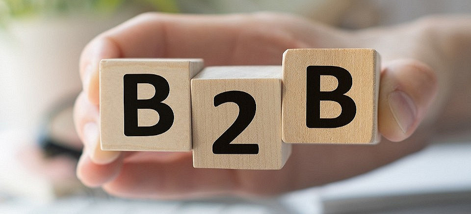 b2b-plattformer.jpg [79.25 KB]