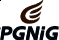 PGNIG 1.png [2.44 KB]